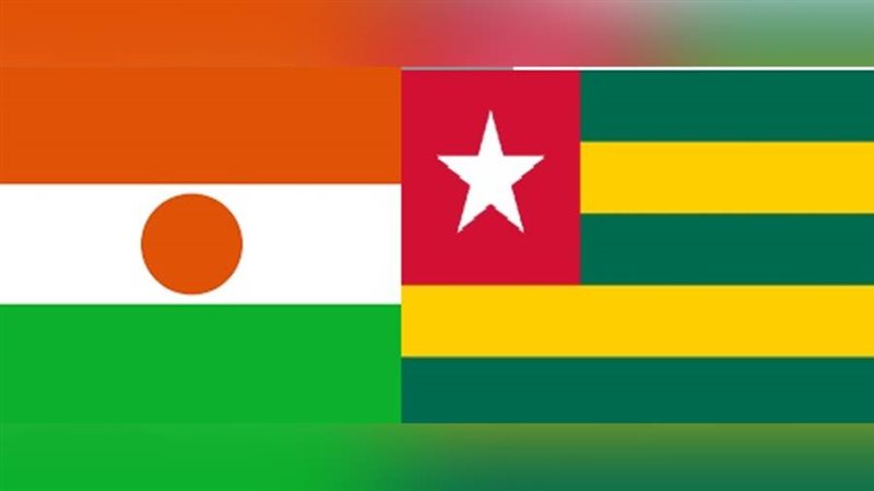 لجنة مشتركة بين النيجر