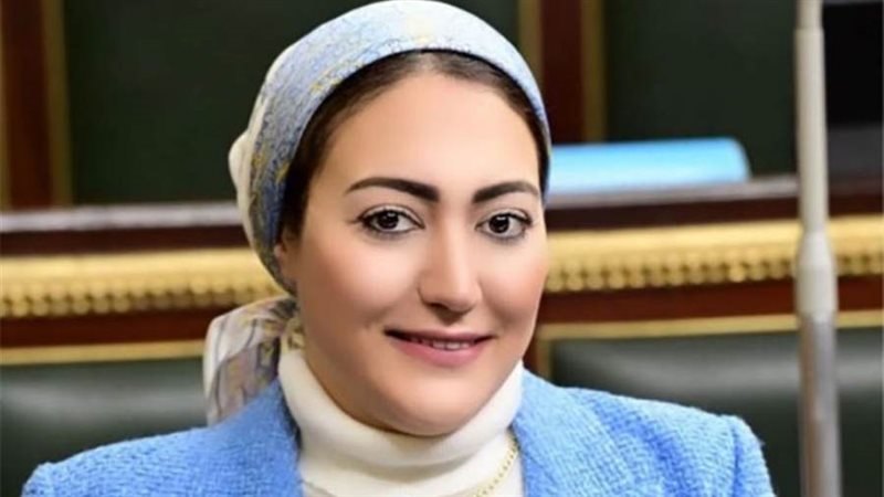 النائبة أسماء الجمال