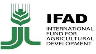 تقرير أممي يحذر من تسارع انعدام الأمن الغذائي في المنطقة العربية