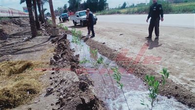 تكثيف الحملات الدورية للارتقاء بالخدمات المقدمة لمواطني كفر الشيخ 