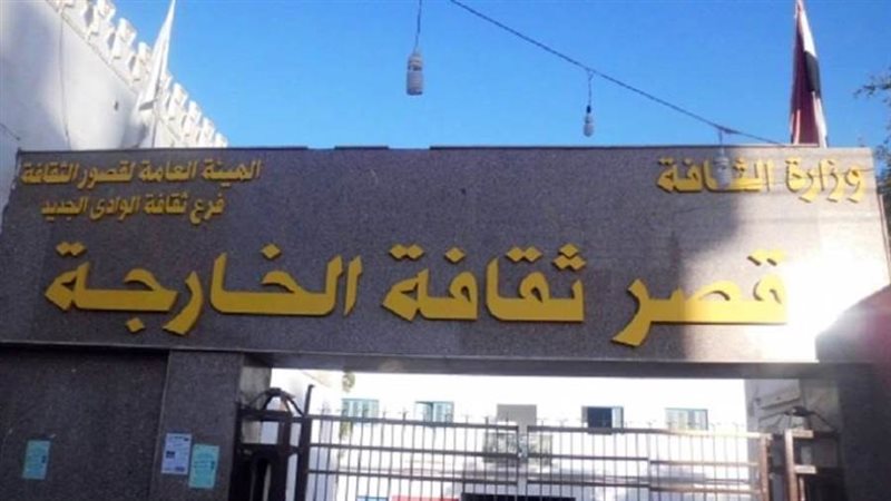 قصر ثقافة الوادي