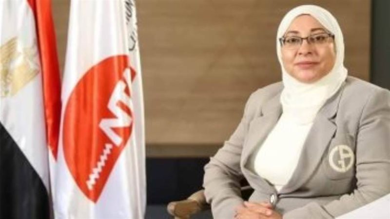 المهندسة جيهان عبد