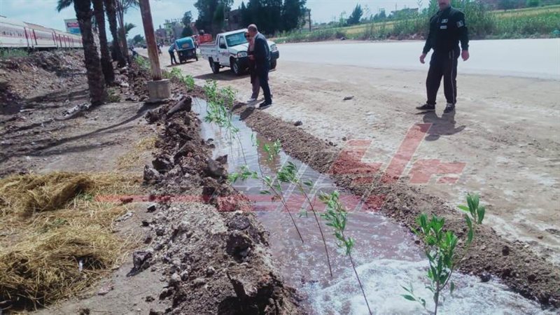 زراعة الأشجار