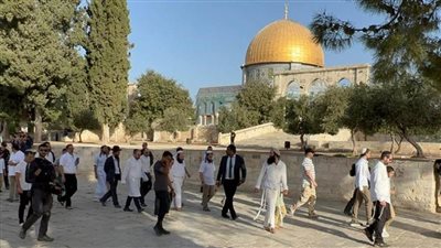 عاجل.. جماعة إسرائيلية مُتطرفة تدعو المُستوطنين لذبح 