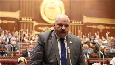 برلماني منياوي يطالب بتفعيل نسبة الـ5% لذوي الهمم في التعيين وجمع المرأة لمعاشين