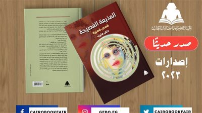 هيئة الكتاب تصدر «المذيعة الفصيحة» في مجموعة قصصية لـ حنان منيب