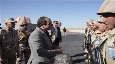 الرئيس السيسي: دفعنا ثمنًا غاليًا لمواجهة 