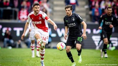 فوز هوفنهايم على فيردر بريمن وتعادل كولن ومونشجلادباخ في الدوري الألماني