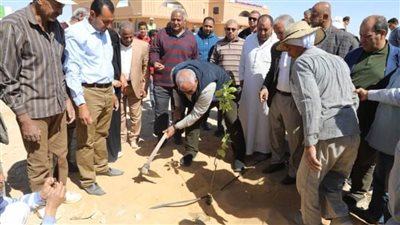 محافظ الوادي الجديد يتابع مشروعات 