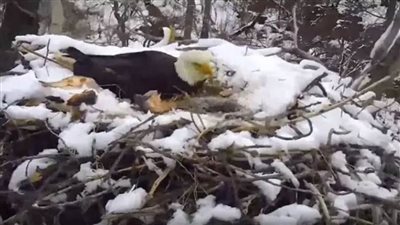 عاجل.. جريمة على فرع 