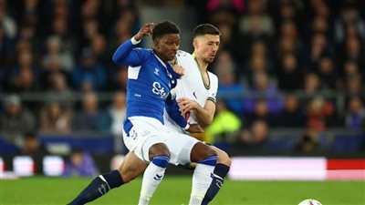 توتنهام يتعادل مع إيفرتون 1-1 في الدوري الإنجليزي الممتاز لكرة القدم