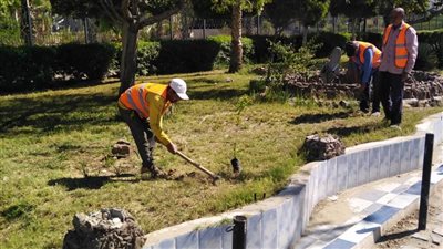 زراعة أشجار خشبية ومثمرة بحدائق الإسماعيلية ضمن المبادرة الرئاسية 
