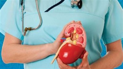 رمضان بصحة.. اعرف نصائح وزارة الصحة لحماية الكلى فى رمضان