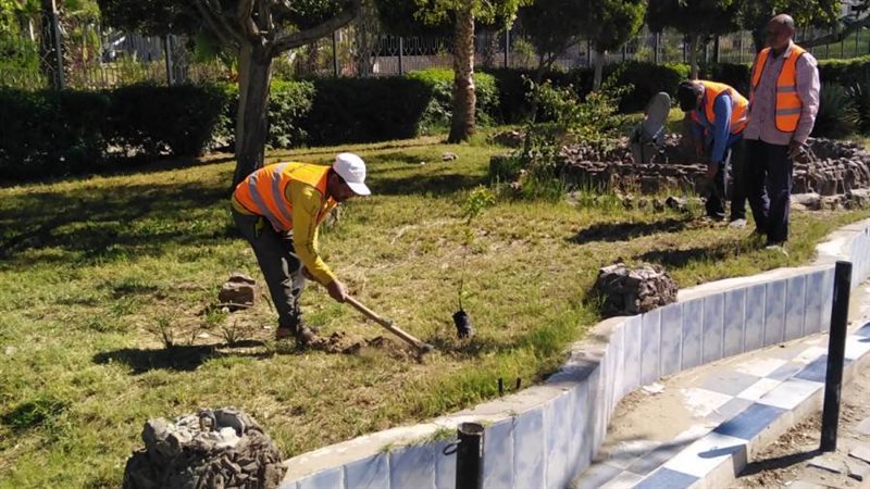 جانب من الاعمال