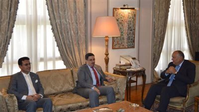 تفاصيل لقاء وزير الخارجية مع نظيره اليمني