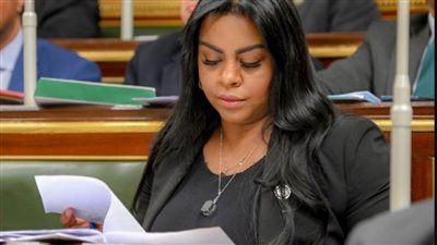 برلماني: موقف مصر ثابت من الحفاظ على أمن واستقرار السودان ودعمه إقليميًا ودوليًا