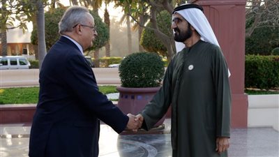 مدير مكتبة الإسكندرية يشارك باجتماعات اللجان المختصة بمبادرة 