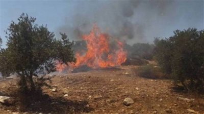 عاجل| تصاعد الأحداث في الأراضي المحتلة.. مُستوطنون إسرائيليون يحرقون بيتا بـ