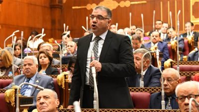 برلماني بالقليوبية يستنكر الاعتداء الإسرائيلي على مصلي المسجد الأقصى 