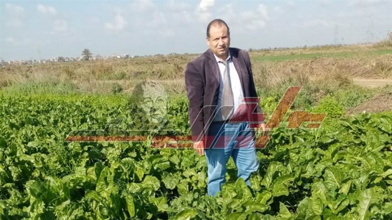 د نبيل مرسي يتابع