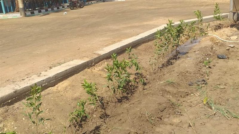 مبادرة 100 مليون