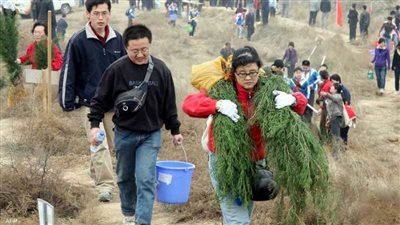 الحكومة الصينية تمنح كل مواطن يزرع أشجارا سنويًا شهادة فخرية