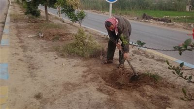 جمع ورفع ٧٥ طنًا قمامة وصيانة ٣٠ كشاف إنارة بمركز ومدينة التل الكبير 