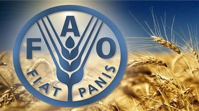 الفاو.. رغم انخفاض أسعار الغذاء العالمية لاتزال أعلى بنسبة 30 % من متوسط عام 2020