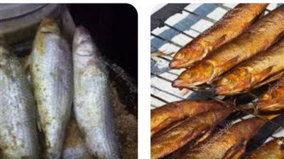 ضبط وإعدام أسماك مملحة غير مطابقة للمواصفات الصحية بالوادي الجديد 