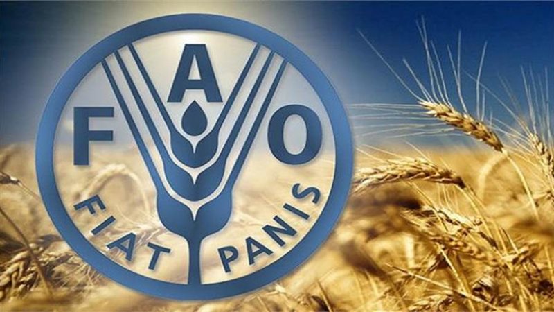 منظمة الأغذية الزراعة