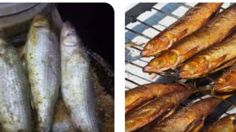 ضبط اسماك مملكه غير