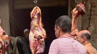 ضبط 20 مخالفة بالمخابز وذبح خارج المجازر وأسماك غير صالحة بالمنيا