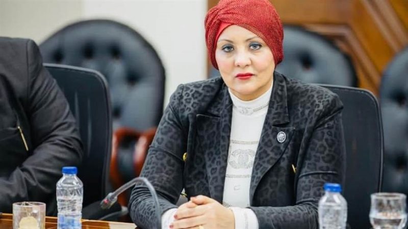 النائبة هناء فاروق