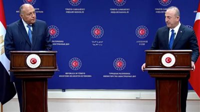 شكري: تسارع اللقاءات يعكس الإرادة السياسية للارتقاء بعلاقات مصر وتركيا.. 