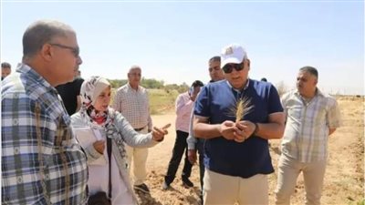 محافظ الوادي الجديد يتابع البرنامج البحثي لتقييم أصناف وسلالات القمح 