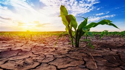دراسة جديدة: التغير المناخي يهدد بظهور موجات الجفاف المفاجئة