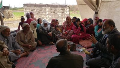 ندوات إرشادية لتشجيع المزارعين على زراعة القطن بالبحيرة