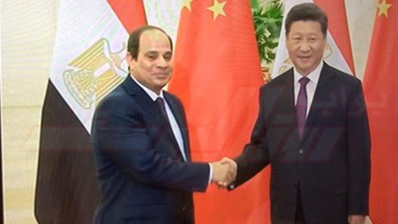 بالصور.. القسم العربي