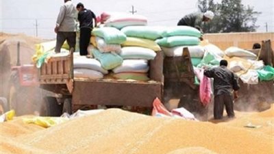 تجديد حبس 13 متهمًا 45 يوما في قضية فساد القمح