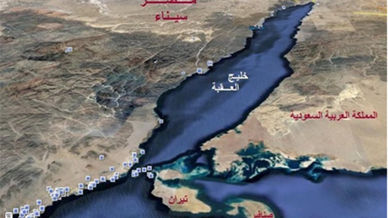 29 سبتمبر الحكم في