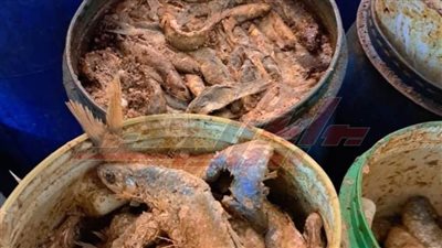تموين كفر الشيخ: يضبط 5 أطنان أسماك مملحة غير صالحة 