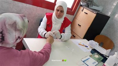 البحيرة.. تسليم 5442 شهادة زواج ضمن المبادرة الرئاسية لـفحص المقبلين على الزواج