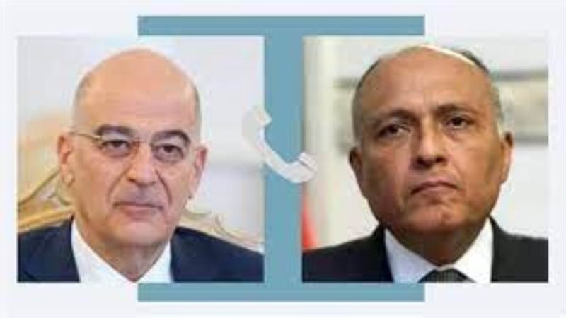 وزيرا خارجيتا مصر