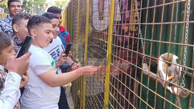 توافد المواطنين على الرحلات النيلية والمتنزهات وحديقة الحيوان بكفر الشيخ