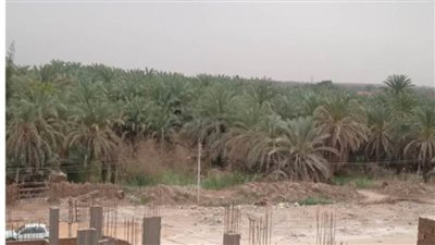 سحب وغيوم كثيف وانخفاض في درجات الحرارة تشاهده سماء الوادي الجديد اليوم