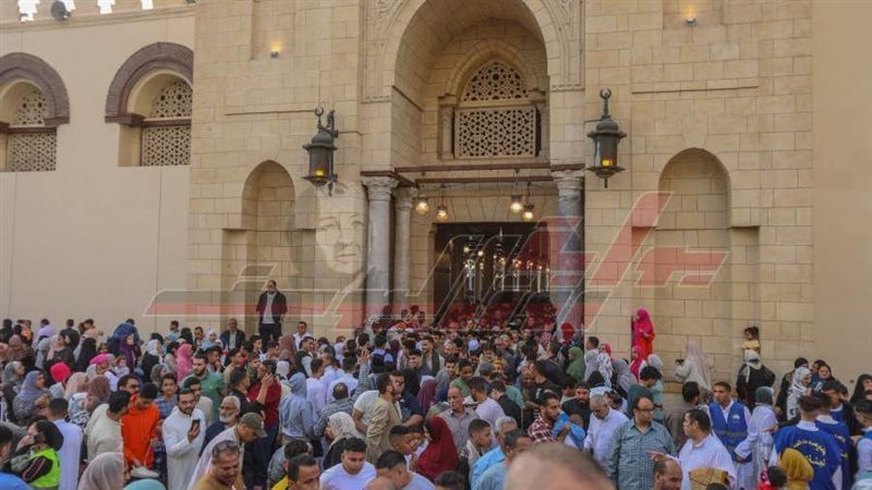 بوابة روز اليوسف