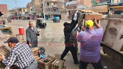 حملات مكبرة لرفع الإشغالات بشوارع مدينة سيدي سالم 