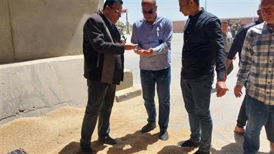 محافظ الدقهلية: نتوقع توريد 490 ألف طن قمح للشون والصوامع