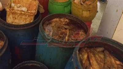 تحرر 85 مخالفة تموينية متنوعة وضبط 200 كيلو أسماك مملحة بكفر الشيخ