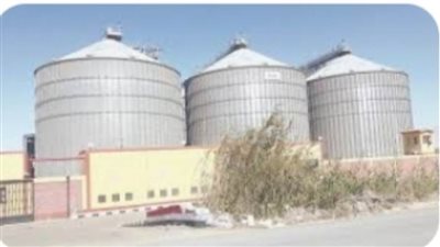 توريد 31575 طن قمح داخل وخارج صوامع محافظة الوادي الجديد  